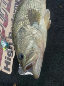 o0720096013671621745