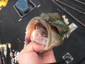 o0800060013671621735