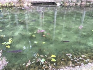 o0480036013698452420