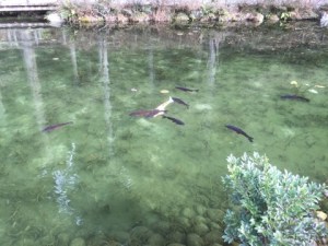 o0480036013698452426