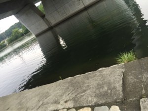 o0480036013707692475