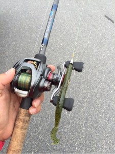 o0480064113707692503