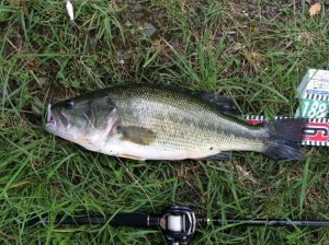 o0800059913705478616