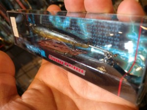 o0800060013693073825