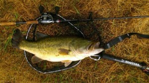 o0480027013734477668