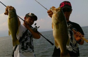 o0480031113734477612