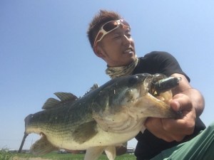 o0480036013719139973