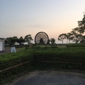 o0480048013716498825