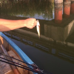 o0480048013716498849