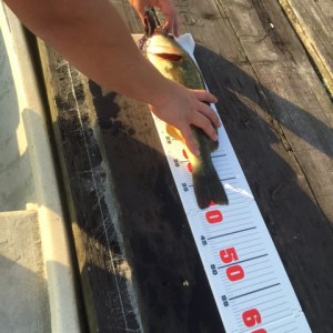 o0480048013722326220