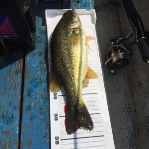 o0480048013722326289