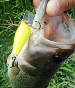 o0480056213731961467