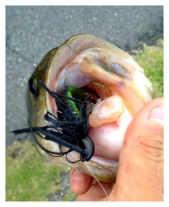 o0480058913715522811