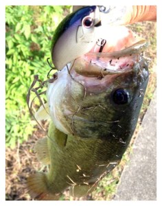 o0480060813715522840