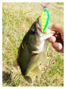 o0480063813715522829