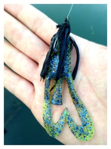 o0480064013715522817