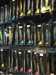 o0480064113711001644