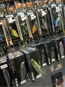 o0480064113711001697