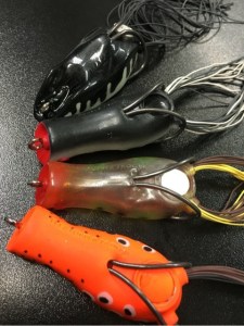 o0480064113720578786