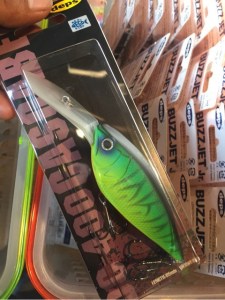 o0480064113728801369