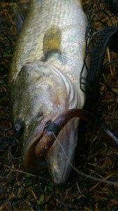 o0480085413734477601