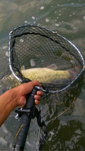 o0480085413734477659