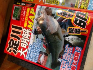 o0960072013735911738