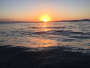 o0480036013745876489