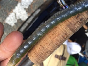 o0480036013745876563