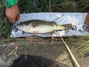 o0480036013752313553