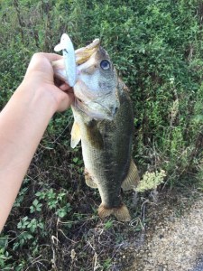 o0480064013742748799