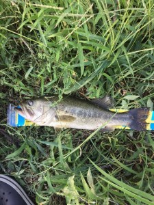 o0480064013742748811