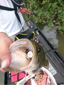 o0480064113740987437