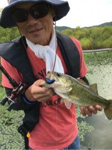 o0480064113740987460