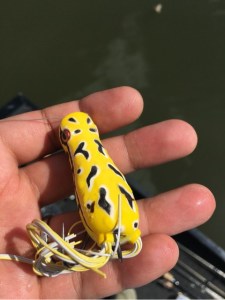 o0480064113740987477