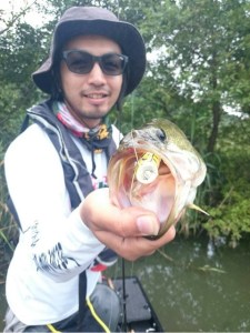 o0480064113740987487