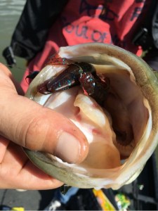 o0480064113740987515