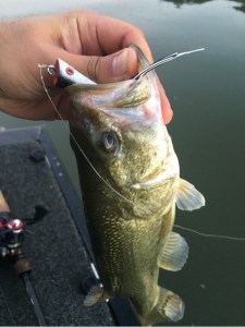 o0480064113740987525