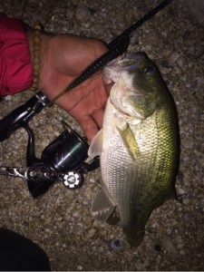 o0480064113745876531