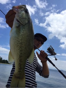 o0480064113745876548