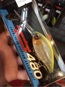 o0480064113746388731