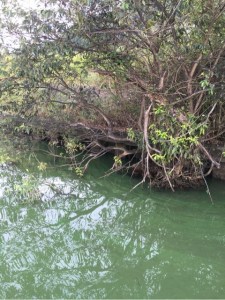 o0480064113751517695