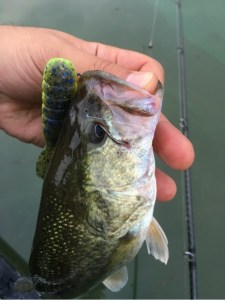 o0480064113751517754