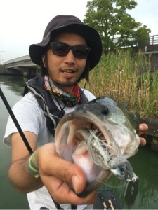 o0480064113751545622