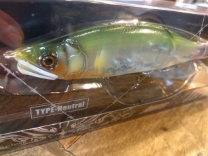 o0960072013743281899