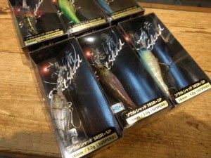 o0960072013755346225