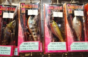 o0480031413760539853