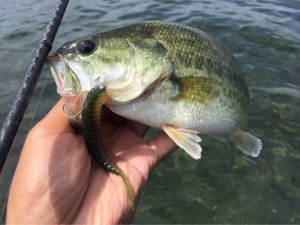 o0480036013768750408