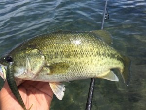 o0480036013768750424