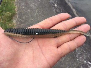 o0480036013779387673